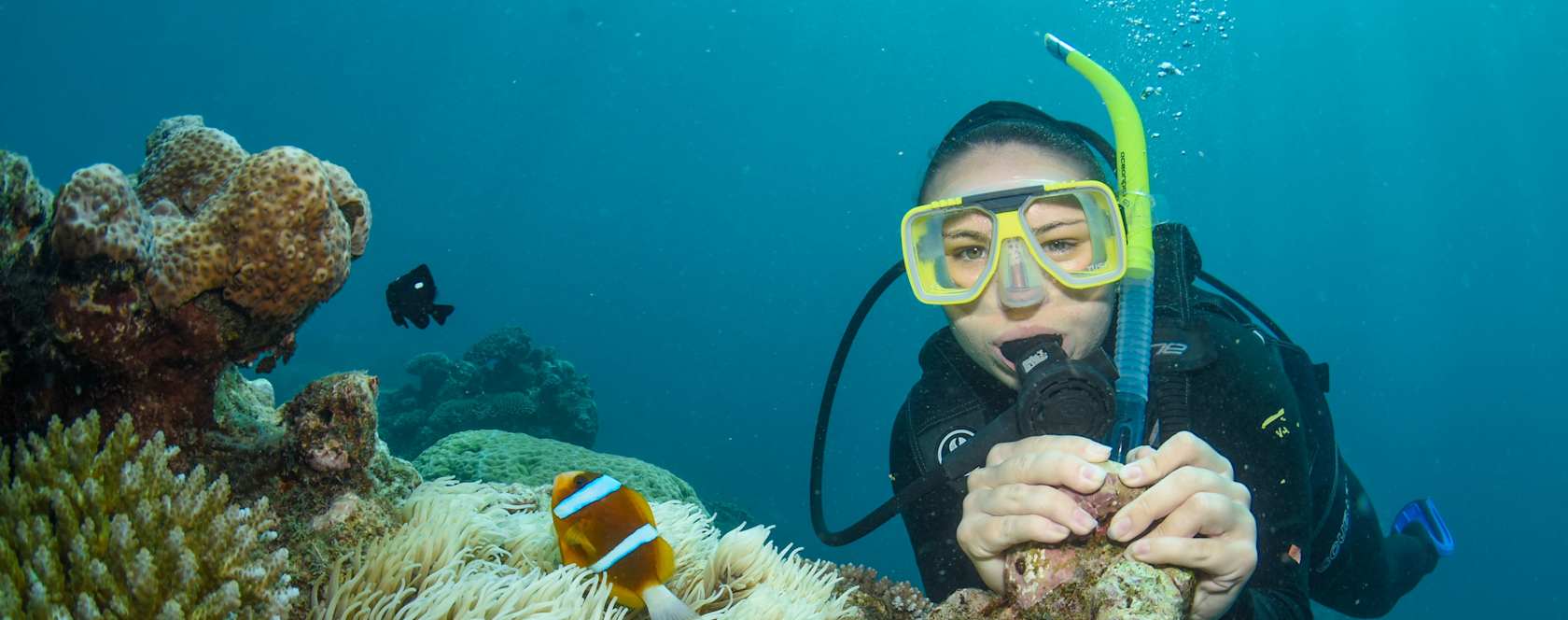 Snorkeling in Wollongong Australia.