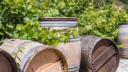 Study Abroad | Florence Featured Image