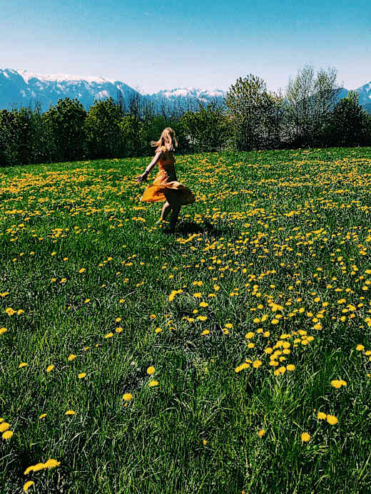 A student walking through a field of yellow flowers.