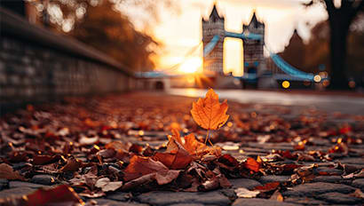 Study Abroad | London Featured Image