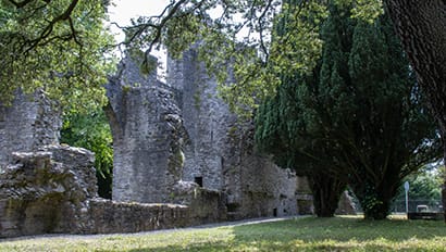 Study Abroad | Maynooth Featured Image