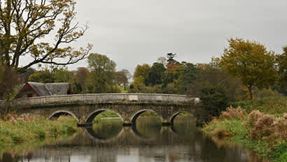 Study Abroad | Maynooth Featured Image