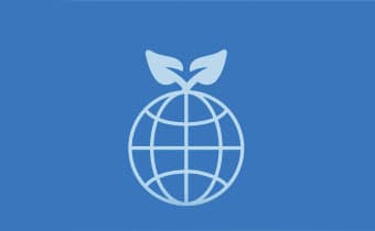 AIFS Abroad Foundational Pillars: Sustainability