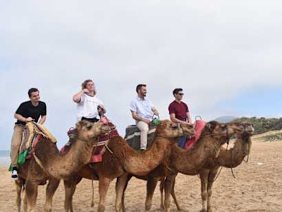 Four students riding camels.