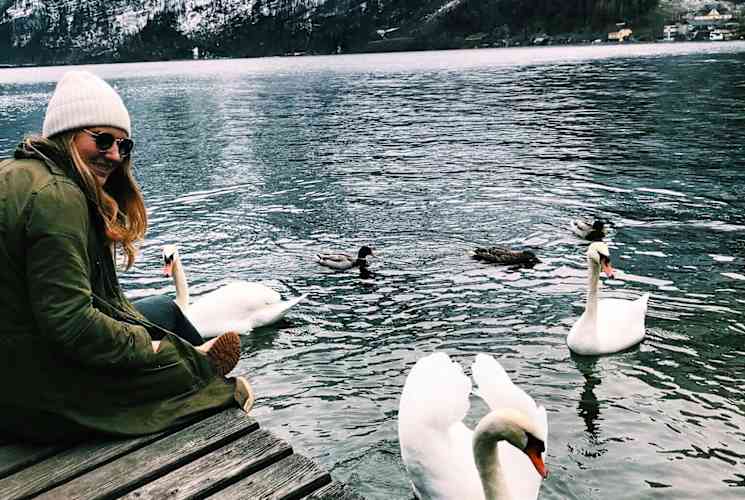 A student watching swans in the water in Austria.