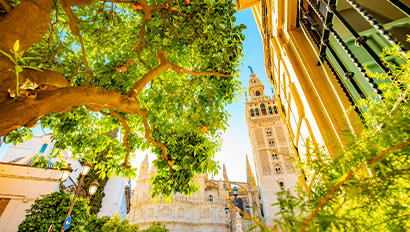 Full Time Internship | Seville Featured Image