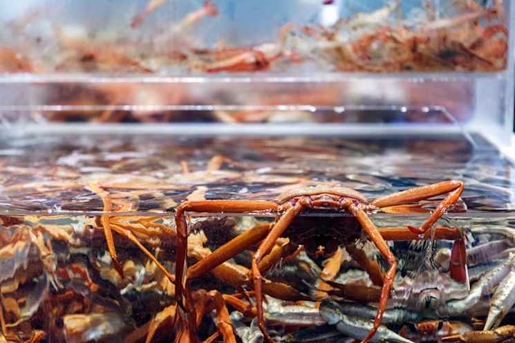 Gangwon-do market in South Korea.