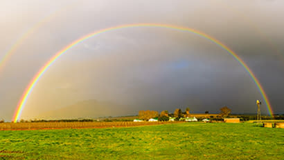 Study Abroad | Stellenbosch Featured Image