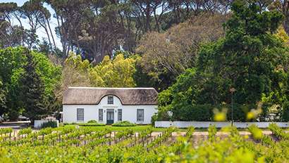 Study Abroad | Stellenbosch Featured Image