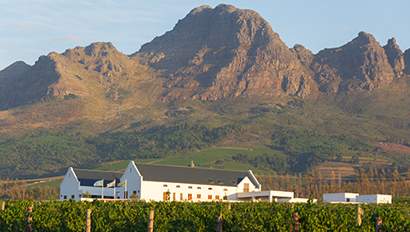Study Abroad | Stellenbosch Featured Image