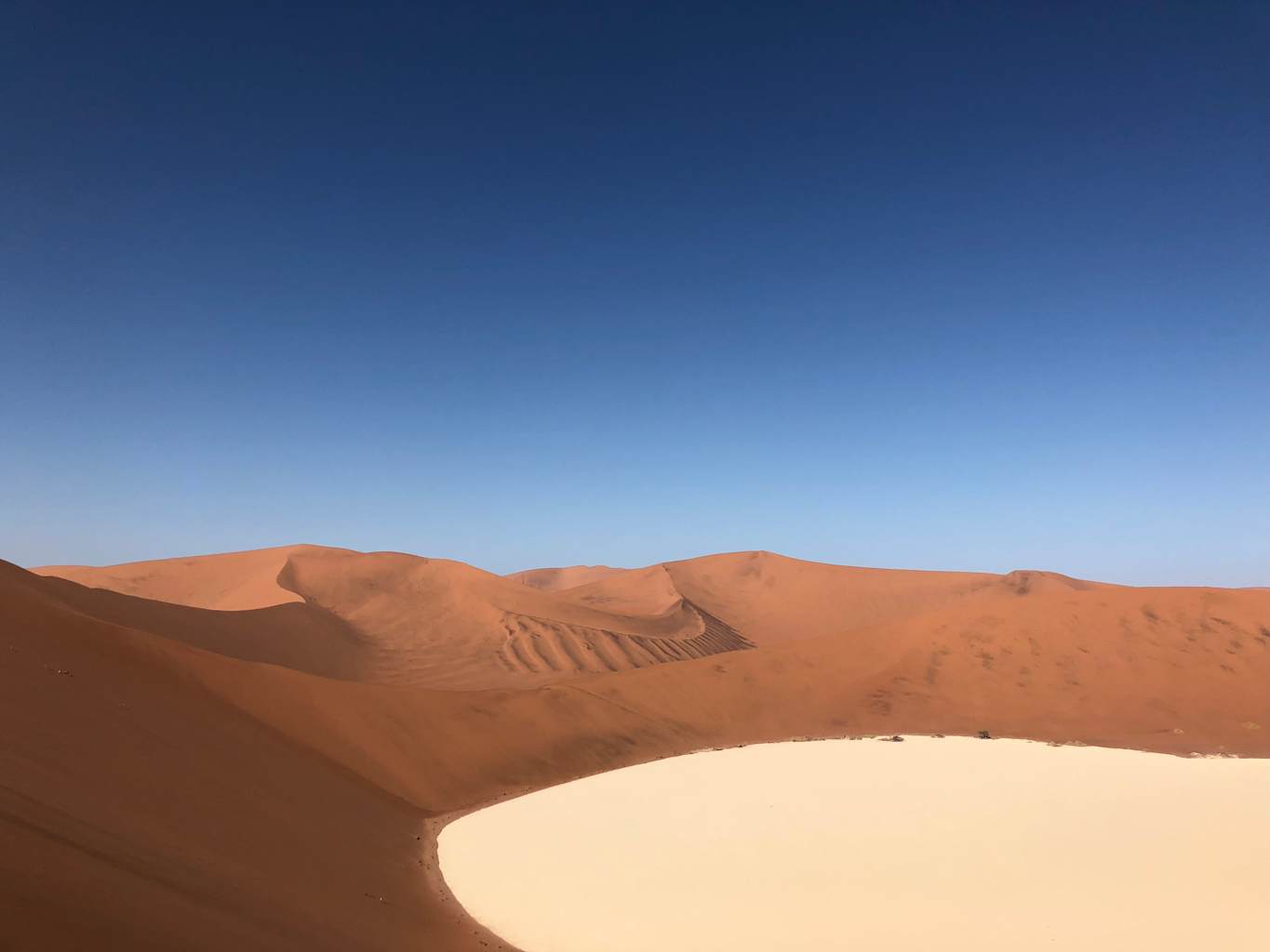 A desert in South Africa.