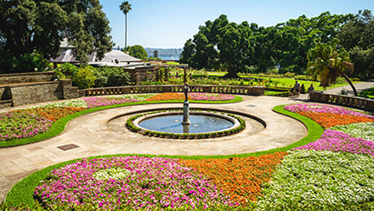 Study Abroad | Sydney Featured Image